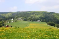 Ferienwohnung Bei Willingen Mit Eigener Terrasse - Homestays
