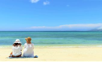 Grande Ortho Okinawa Villa Onna 3 - Vacation Stay 91374