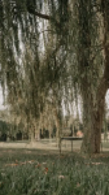 科爾聖毛羅飯店 住宿飯店