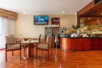 Barceló San José - bar