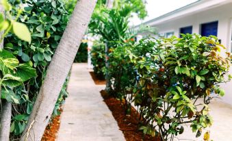 Casa Cordova by Lowkl