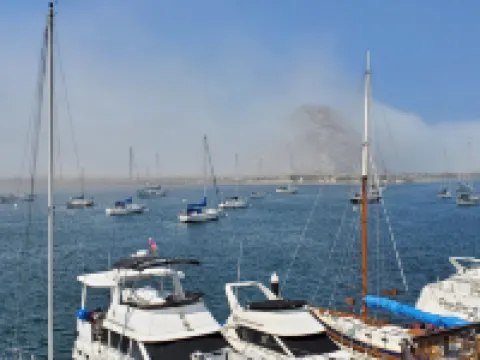 Gray's Inn & Gallery