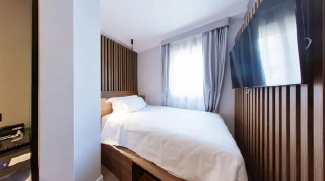 羅馬麗笙GHR酒店 弗拉米尼奧酒店