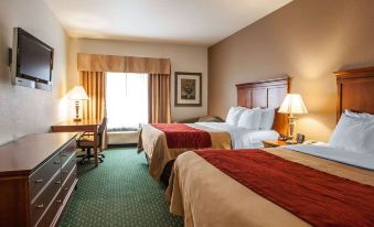 Comfort Inn & Suites Davenport - Quad Cities