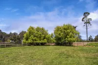 Charming Oasis with Spacious Backyard and Firepit - Delightful Getaway