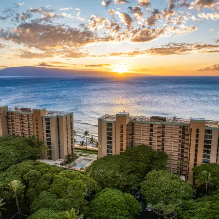 Mahana 1119