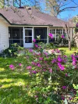 Unique Decor and Inspiring Ambiance - Vibrant Groovy Oasis Hotels in Leon County