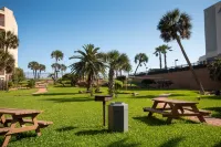 Dolphin Theme and Resort Pools - Luxurious Coastal Haven