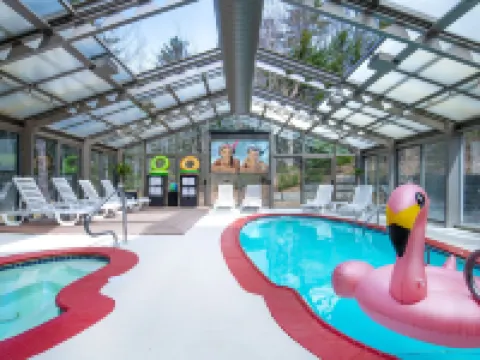 聖誕農場温泉酒店 杰克遜酒店