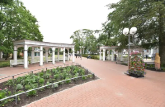 靠近海灘的博爾滕哈根温馨公寓