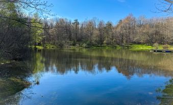 Boyer's Pond Campground