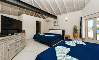 Boutique Hotel Swiss Paradise Aruba Villas and Suites