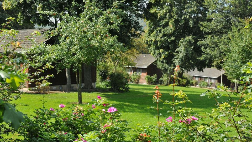 Bungalow in Belgium Near Green Hills