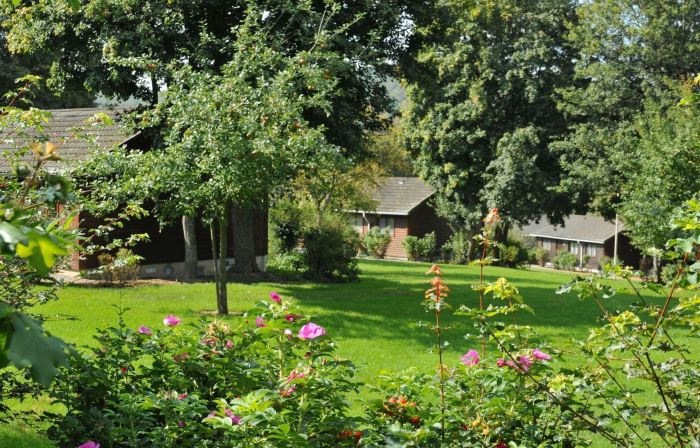 Bungalow in Belgium Near Green Hills