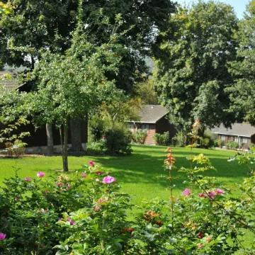 Bungalow in Belgium Near Green Hills