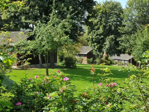 Bungalow in Belgium Near Green Hills Hotels in Rendeux