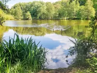 Grandma Hotels in Frankenau