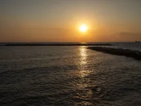 Venus Beach Hotel Hotels in Paphos