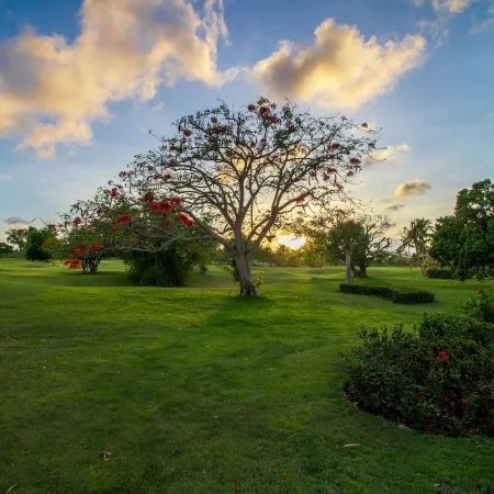 Punta Cana Villa Waterfall - Private Villa in the Dominincan Republic