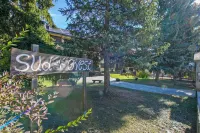 Il Nido di Elda Few Steps from Skiing - Happy Rentals - 3-Star
