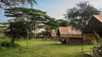 Africa Safari South Serengeti Hotels near Kenzan Luxury Mobile Camp - Ndutu