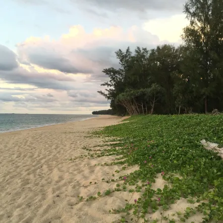 Le Coral Resort