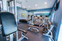 Holiday Inn HOUSTON-WEBSTER by IHG - Gym