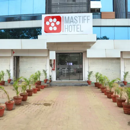 Mastiff Hotel Ankleshwar