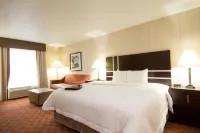 Hampton Inn Marshall فنادق في Albion