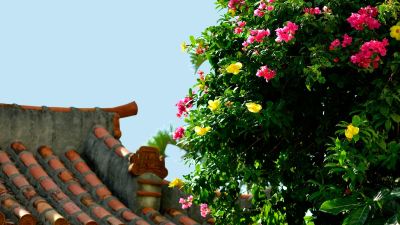 共有エリア ザ・ナハテラスの写真