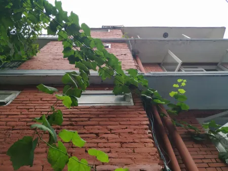 Family Peace House Отели рядом с достопримечательностью «Национальный музей Непала»