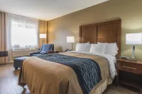 Comfort Inn - bar