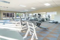 Midgard - Gym