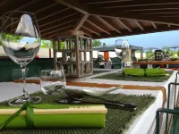 Vivere Suites & Rooms