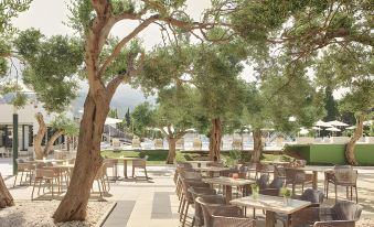 Bluesun Hotel Neptun - All Inclusive