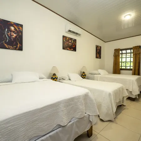Hotel Tortuguero Beachfront