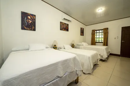 Hotel Tortuguero Beachfront