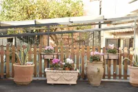 B&b le Cycas Hotel di Castellammare di Stabia