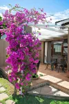 Bayside Guesthouse Hotels in 
