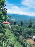 Mita Hotel-Resort Marga Hotels in Simalchaur Syampati