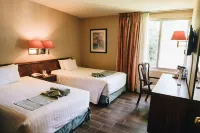 Hotel la Joya Tulancingo Hotels near y juegos Garden