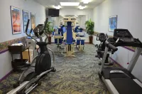 Sun Viking Lodge - Gym