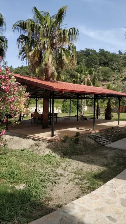 The Palm Apart Sarigerme