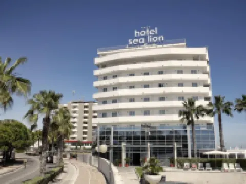 海獅酒店 蒙特西爾瓦諾酒店