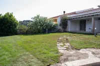 La Corte di Pulicinu