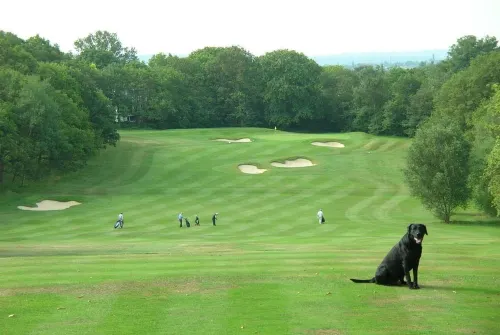 Wimbledon Holiday Lets Hotels in Wimbledon