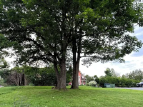 Motel Le Refuge Hotéis em Sherbrooke