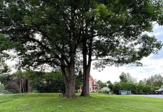 모텔 르 러퓨지 리뷰 이미지