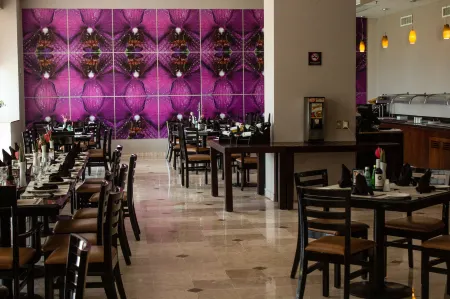 Hilton Garden Inn Boca del Rio, Veracruz