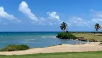 Oceanview Apt - Montego Bay, Ja, Pool, Bar, Beach Hotel a Reading